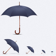 Auto Open Wood Handle Straight Umbrella (BD-34)